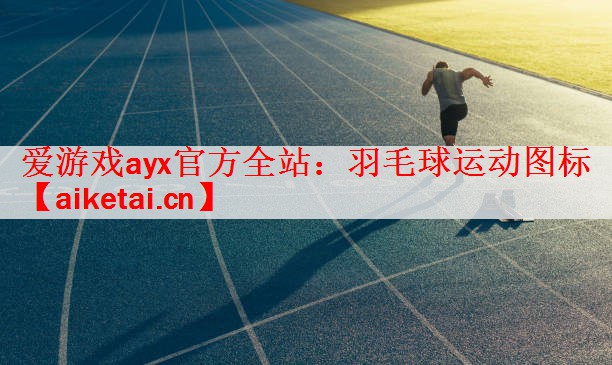 爱游戏ayx官方全站：羽毛球运动图标